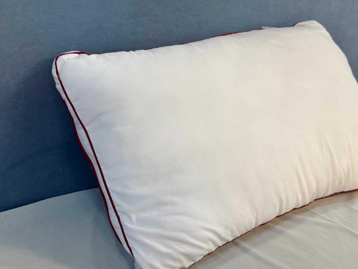 Molty Pillow