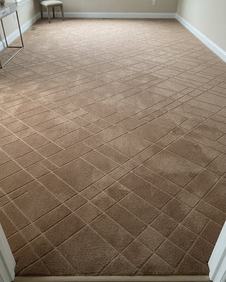 Sqr Cut Wall-to-Wall Carpet