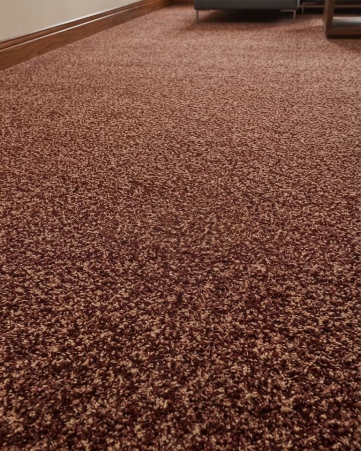 Fragance Wall-to-Wall Carpet